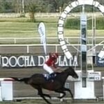 The Gladiator's Hat atropelló con enorme fuerza - Foto: Captura Video