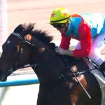 Ka Ying Rising igualó el récord de 17 triunfos consecutivos - Foto: Captura Video