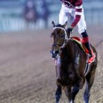Magnitude se encumbró en la Dubai World Cup (G1) - Foto: Dubai Racing Club