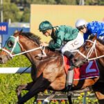 Fireball lideró una trifecta G1 para la cuadra de Chris Waller - Foto: @inglis_sales