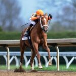 Further Ado fue ampliamente superior - Foto: @KeenelandRacing