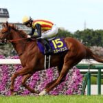 La Campeona Star Anise respondió - Foto: J:.R.A.