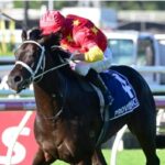 Providence le permitió a James McDonald igualar el récord de triunfos G1 en una temporada (16) - Foto: Trackside Photography