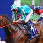 Romantic Warrior se afirma como el mayor productor de dinero en el mundo - Foto: HKJC