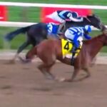 My Gun's Loaded debutó victoriosa en pruebas selectivas - Foto: Captura Video