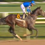 Sovereignty volvió por sus fueros y estará en la Breeders' Cup Classic (G1) - Foto: Captura Video