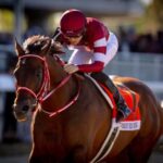 FOREVER YOUNG  sumó su 5º triunfo G1 y obtuvo pase a la próxima B. C. Classic (G1) - Foto: @A_Evers